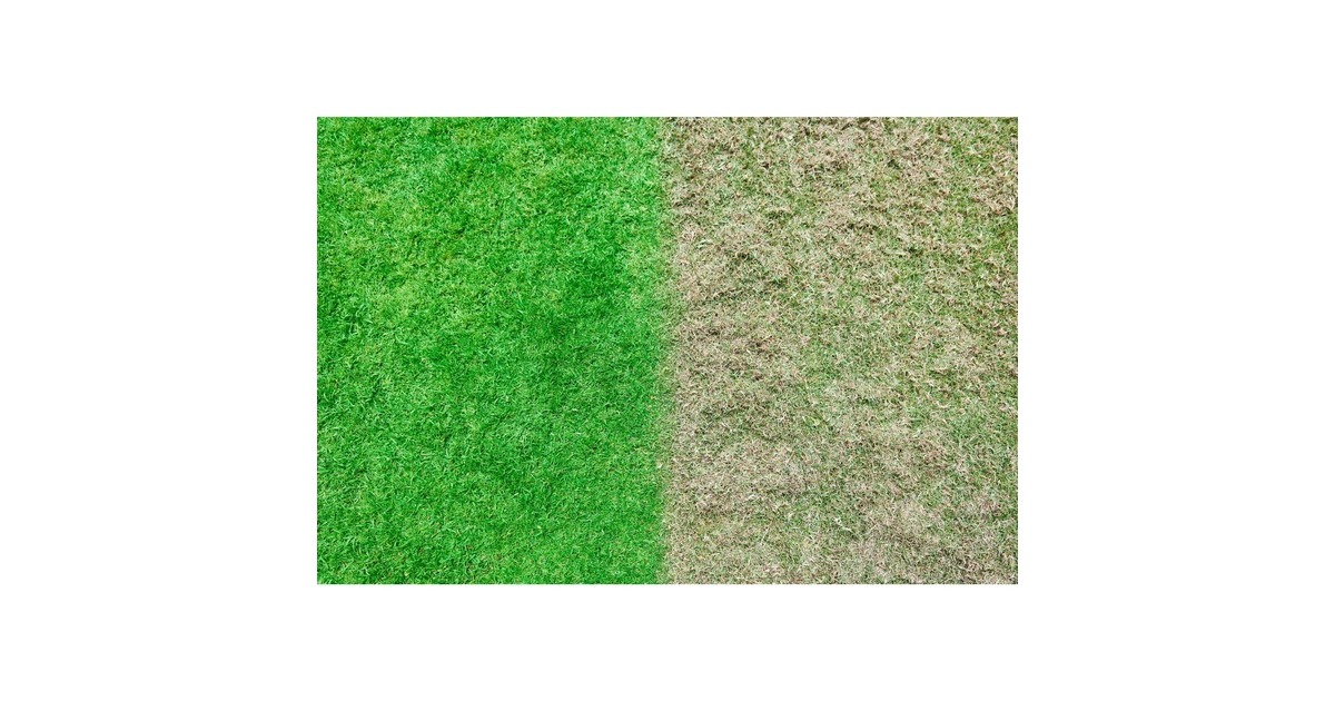 RyobiAccu-Verticuteerder RY18SFX35A-0  (Groen/zwart)