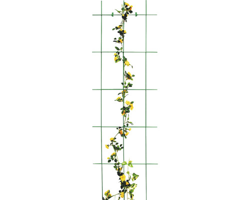 Decoratief trellis, 3-strut, Lafiora staal, 45x150 cm, groen, inclusief bevestigingsmateriaal