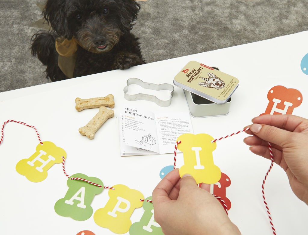 Dog Birthday Kit (DIG03)