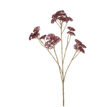 Achillea spray burgundy 72cm