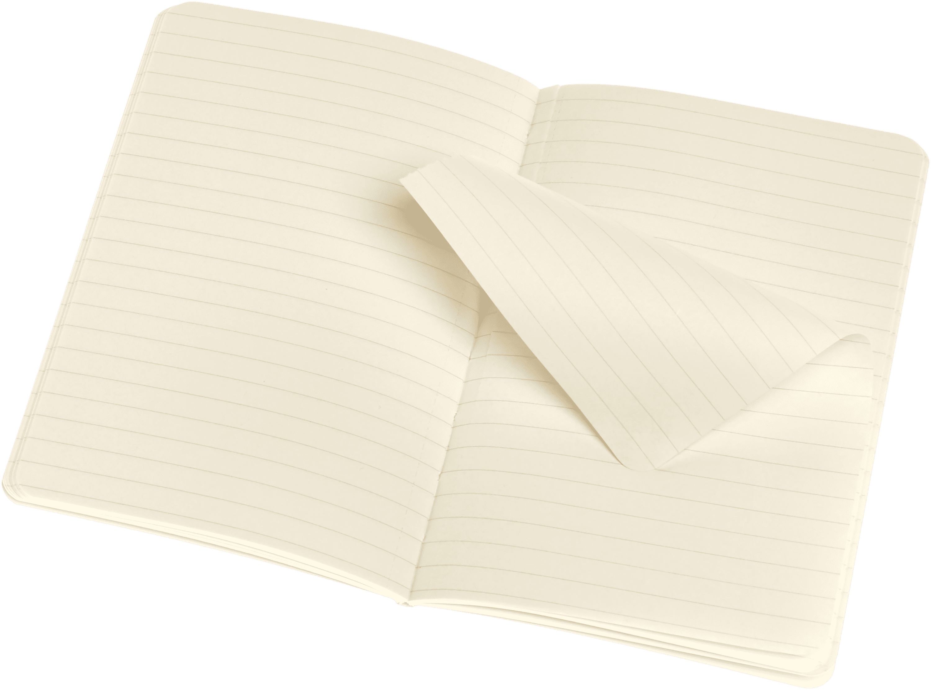 Volant Journals Set of 2