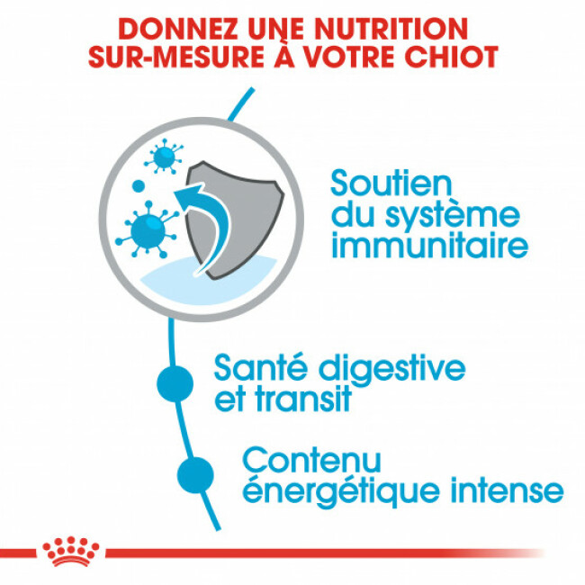 Croquettes Royal Canin X-SMALL Puppy Junior