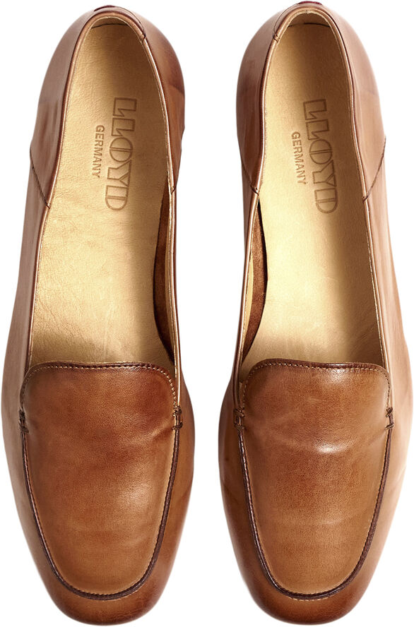 Lloyd 06072900 Brown
