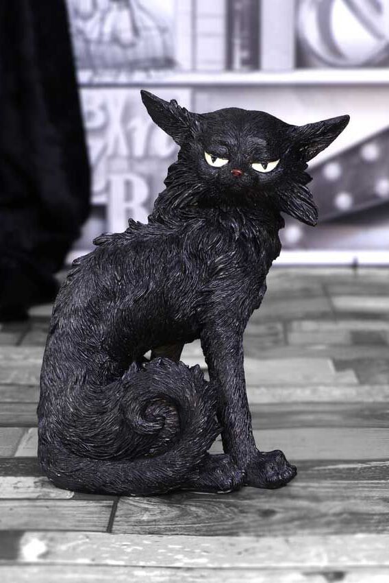 Salem | Nemesis Now Statuette