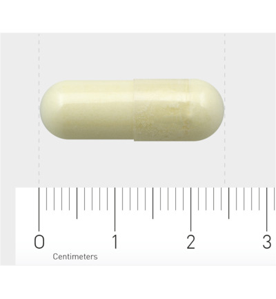 AOV 510 Magnesium AC (60 vega capsules)