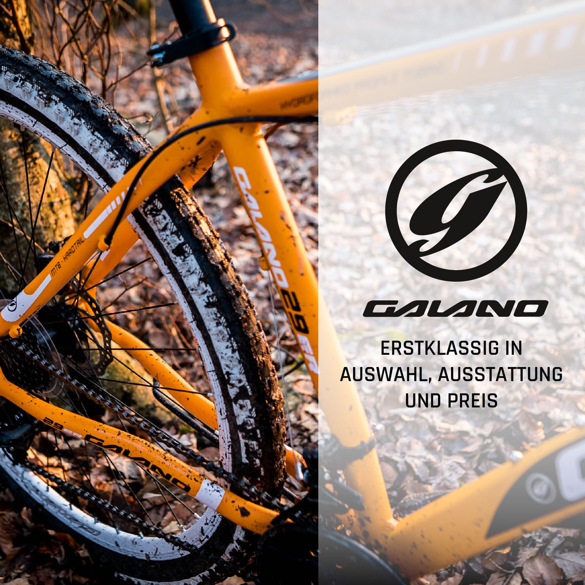 Galano Toxic Mountainbike Hardtail 29 Zoll für Erwachsene ab 175 cm MTB Fahrrad 21 Gang Federgabel Scheibenbremsen