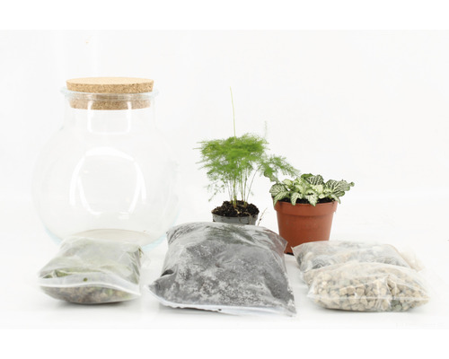 DIY flessentuinset, complete set, rond, middel, H 30 cm, Ø 20 cm