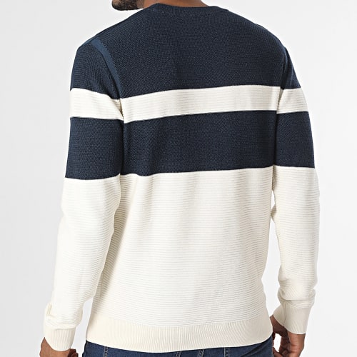 Pull 1038207-XX-10 Beige Bleu Marine Chiné