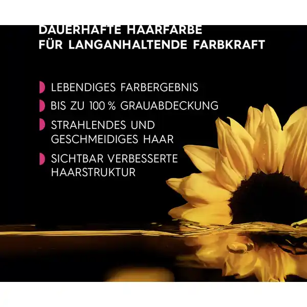 Dauerhafte Haarfarbe Coloration 3.0 Dunkelbraun Vorteilsset