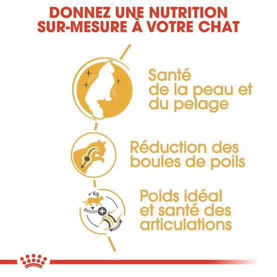Croquettes chat norvegien Adulte à partir de 12 mois 2kg