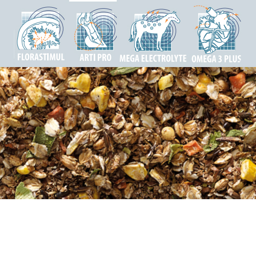 Cavalor Mash en Mix - Wellness Slobber