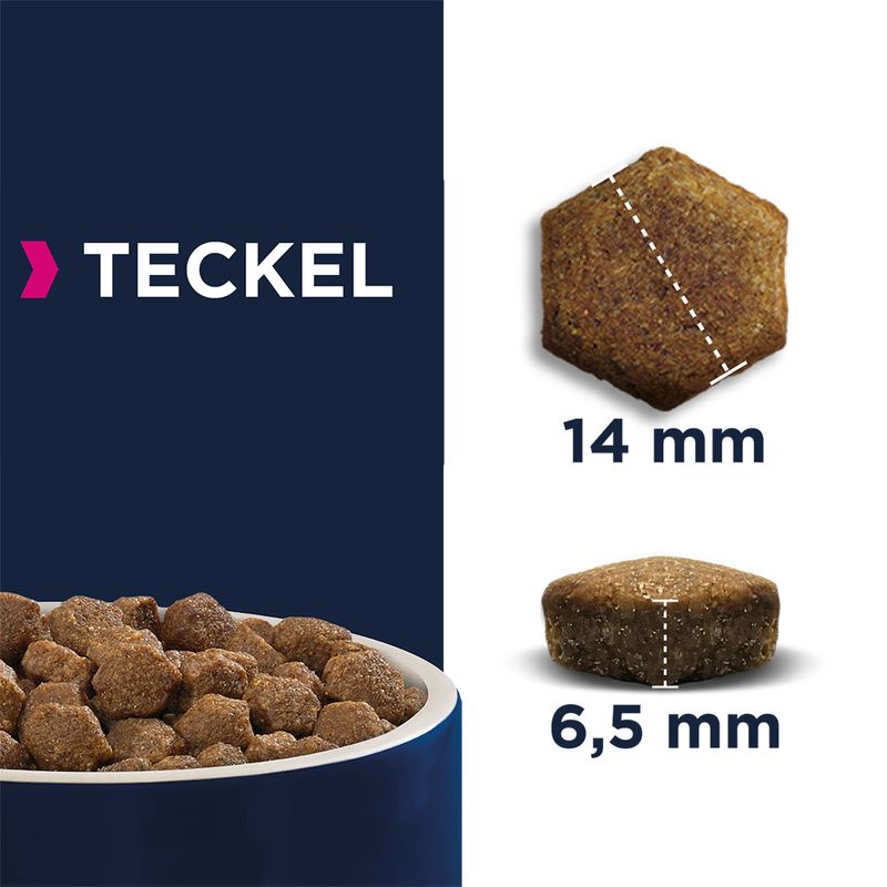 Eukanuba Adult Breed Specific Teckel