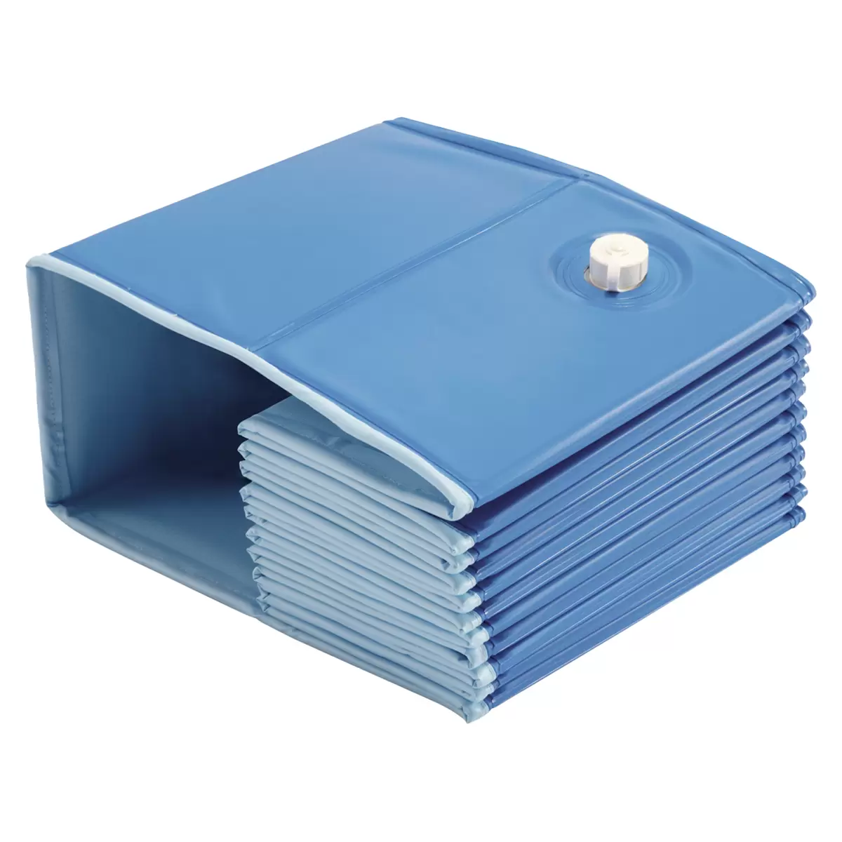 Hunde Pool Blau