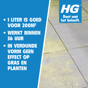 HG groene aanslagreiniger concentraat 1 liter