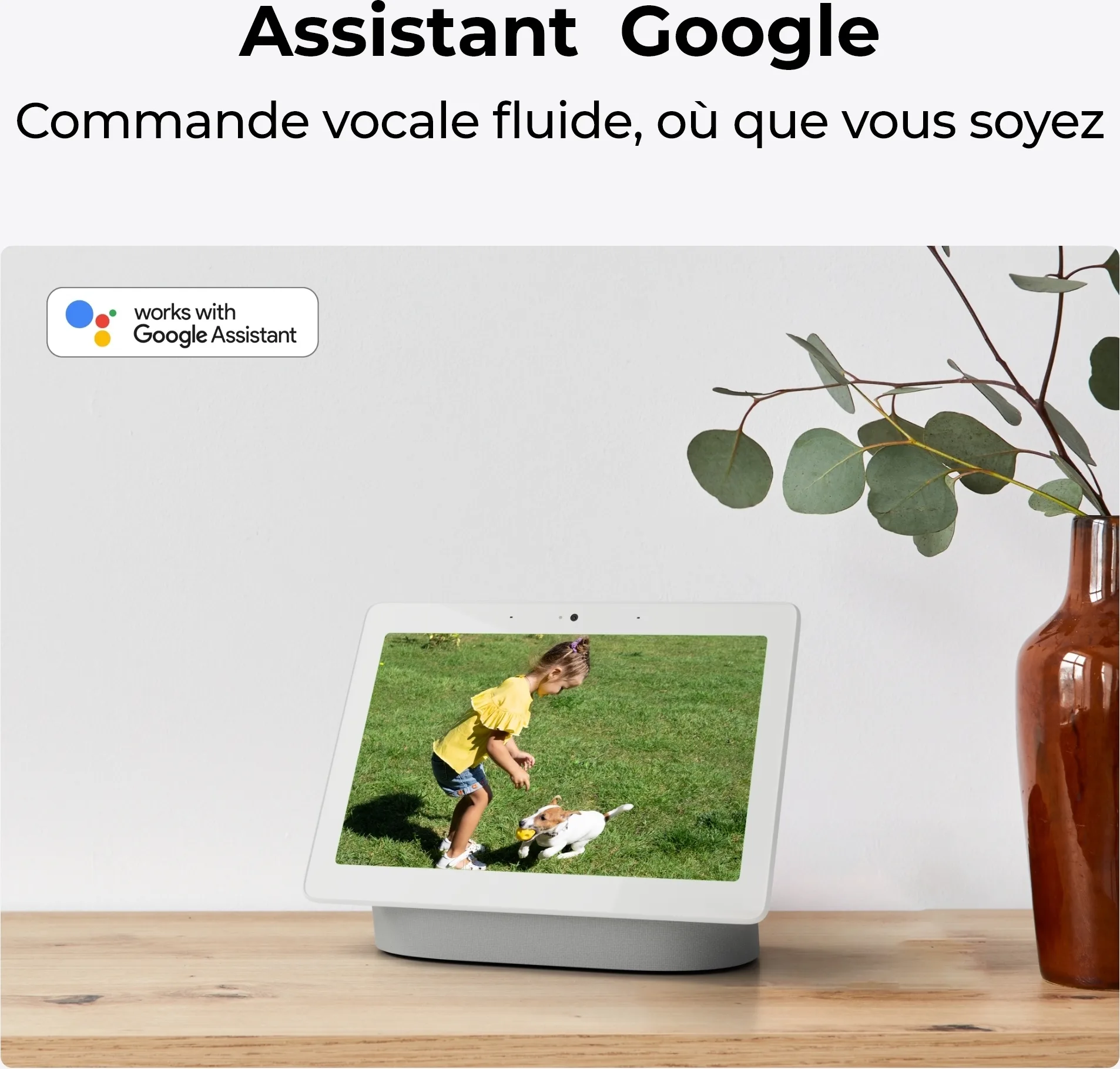 Reolink D340W Sonnette connectée