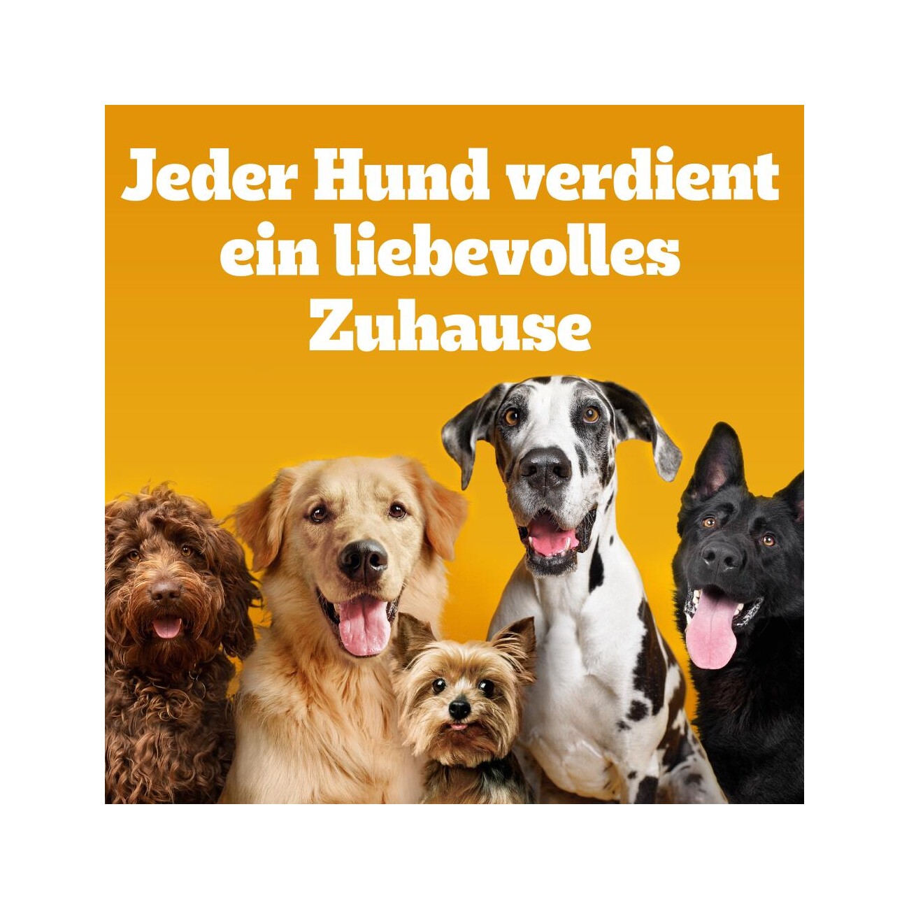 Pedigree Zahnpflege Dentastix Daily Oral Care Multipack Mini, 35x