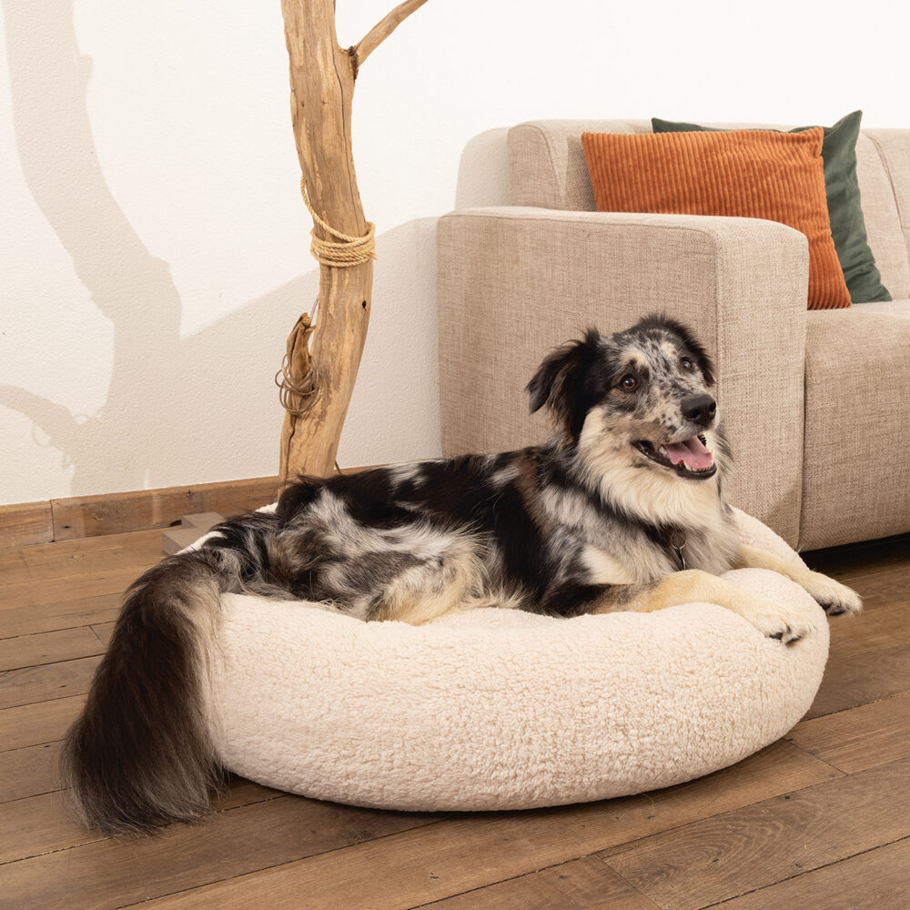 Beeztees Memory Foam Jaxx - Hondenmand - Pluche