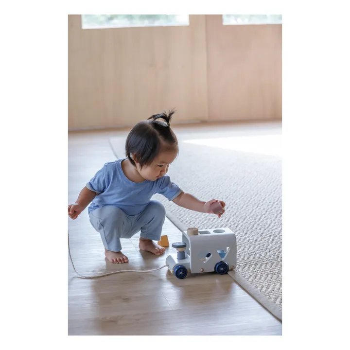 Plan Toys Véhicule 3 formes à encastrer Tendresse