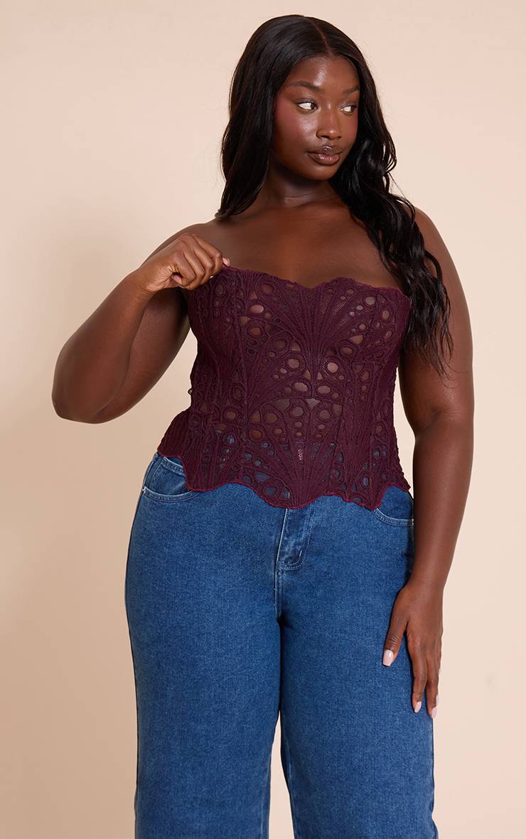Prune Corset Grande Taille En Dentelle Florale Transparente Texturée