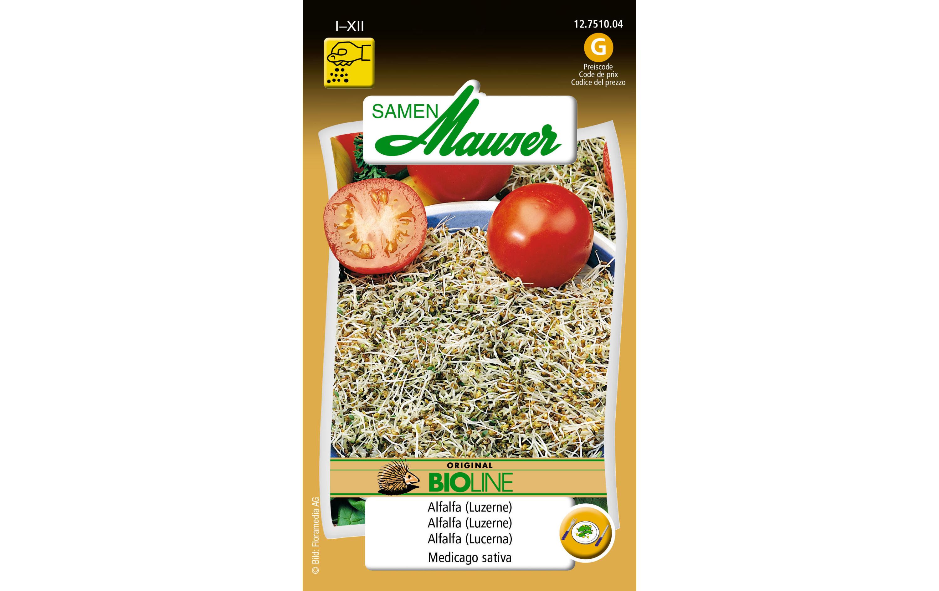 Samen Bioline Alfalfa (Luzerne)Gemüsesamen