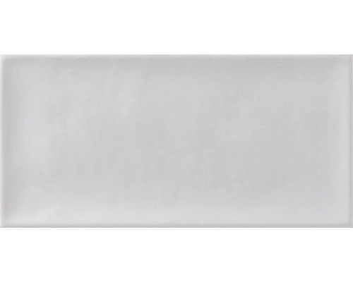 Steengoed Metrotegel Loft wit 10x20x0,7 cm glanzend
