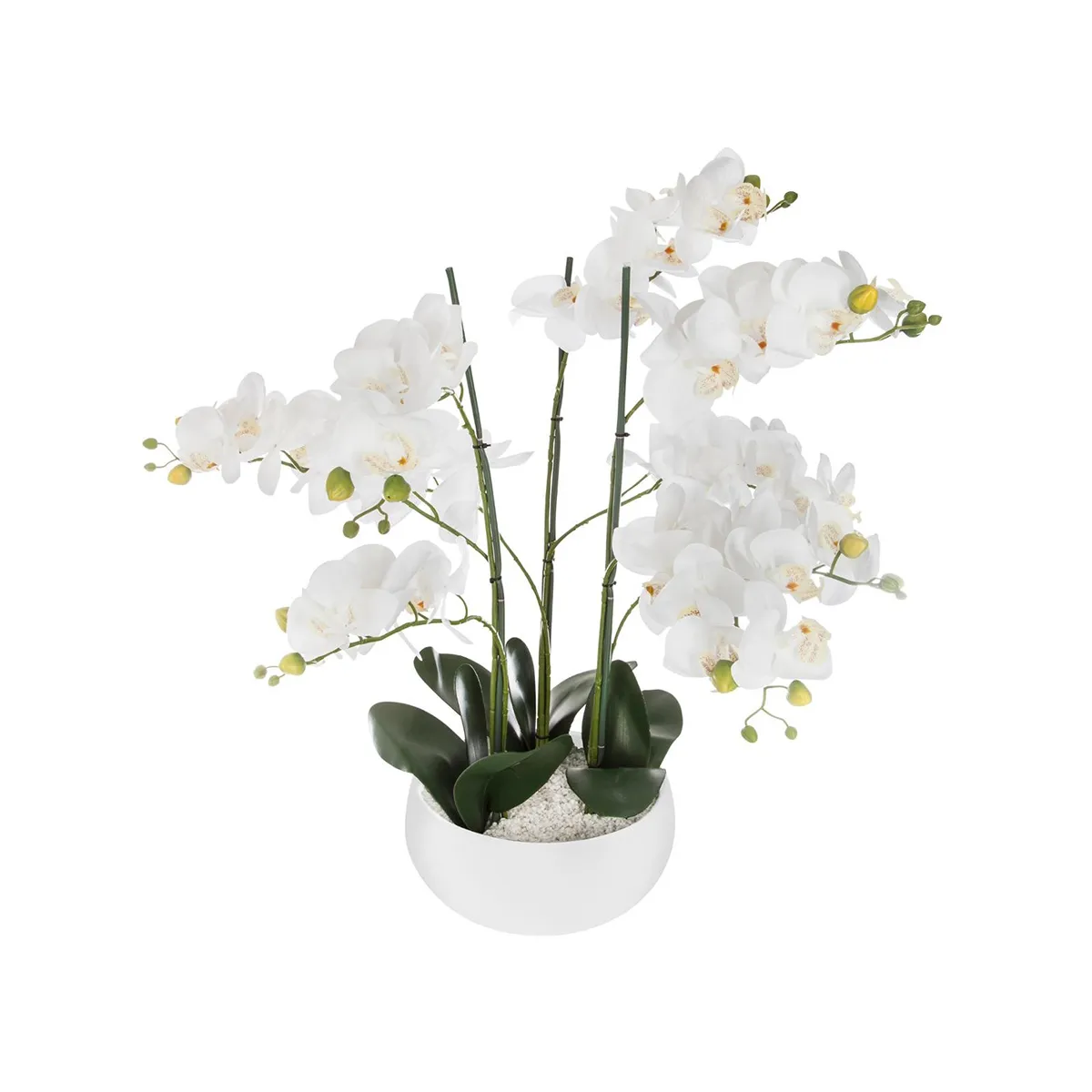 Atmosphera, Createur D'Interieur ATMOSPHERA Orchidée en pot H. 65 cm blanc