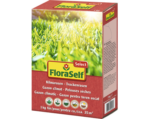Droog gras - klimaatgras FloraSelf Select 1 kg / 35 m²