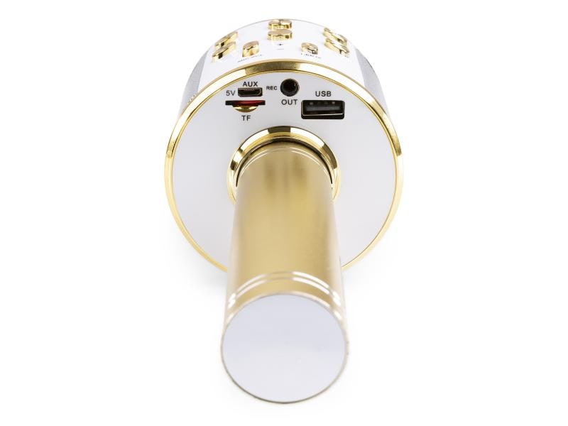 MAX Mikrofon KM01G Gold Karaoke Mikrofon mit eingebautem Lautsprecher