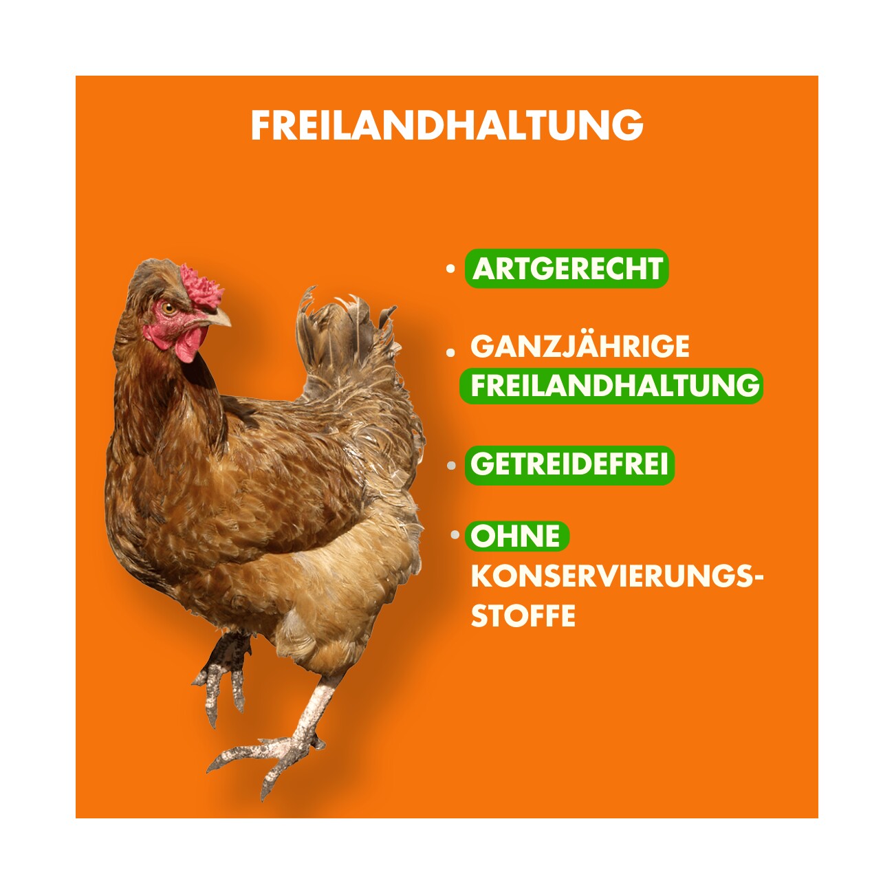 Irish Pure Trockenfutter: Irisches Freiland-Huhn mit Gemüse & Kelp-Alge, Puppy 1,5 kg