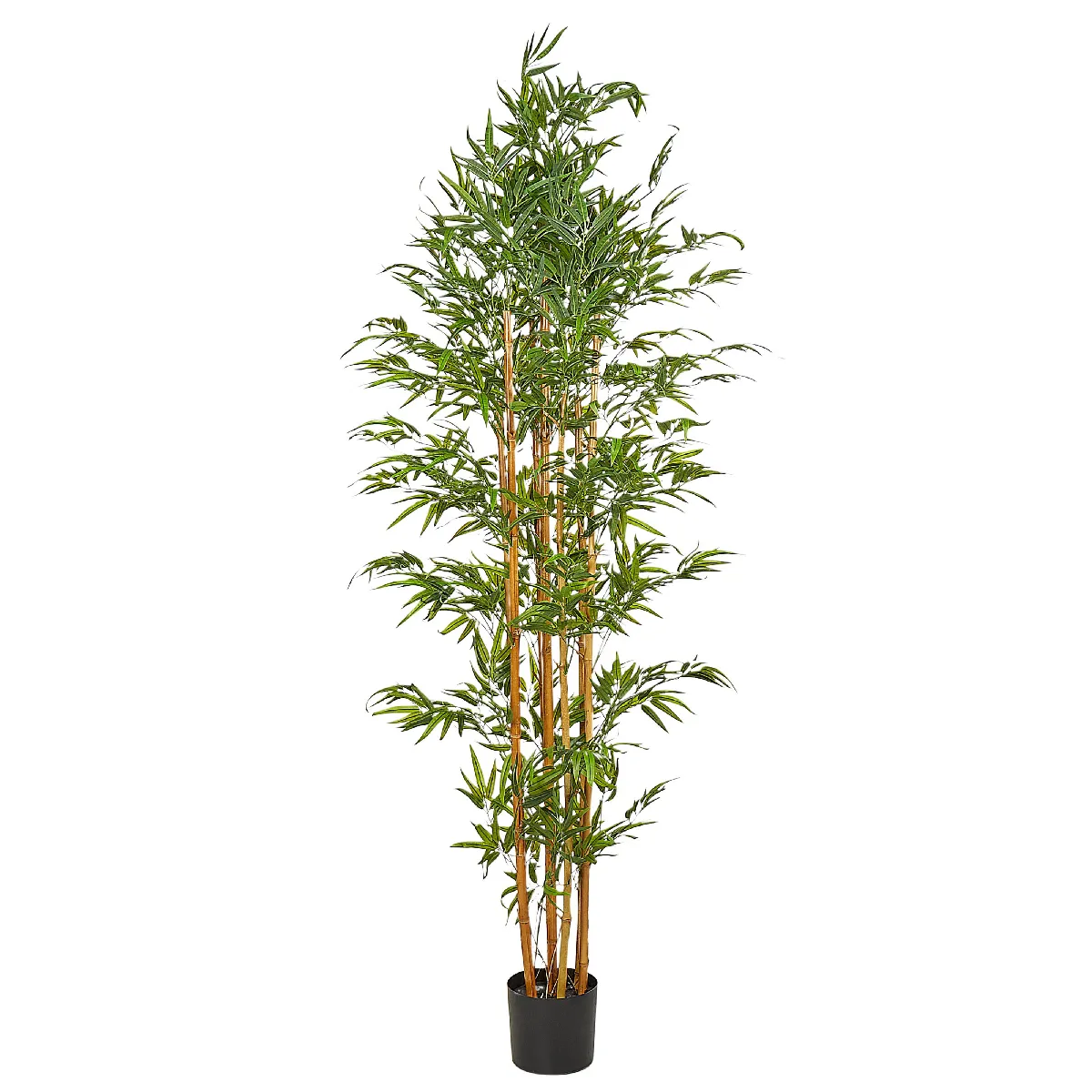 BELIANI BAMBOO 220 cm Vert