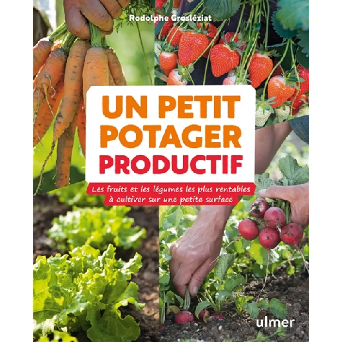 Un petit potager productif : les fruits et les légumes les plus rentables à cultiver sur une petite surface · Occasion