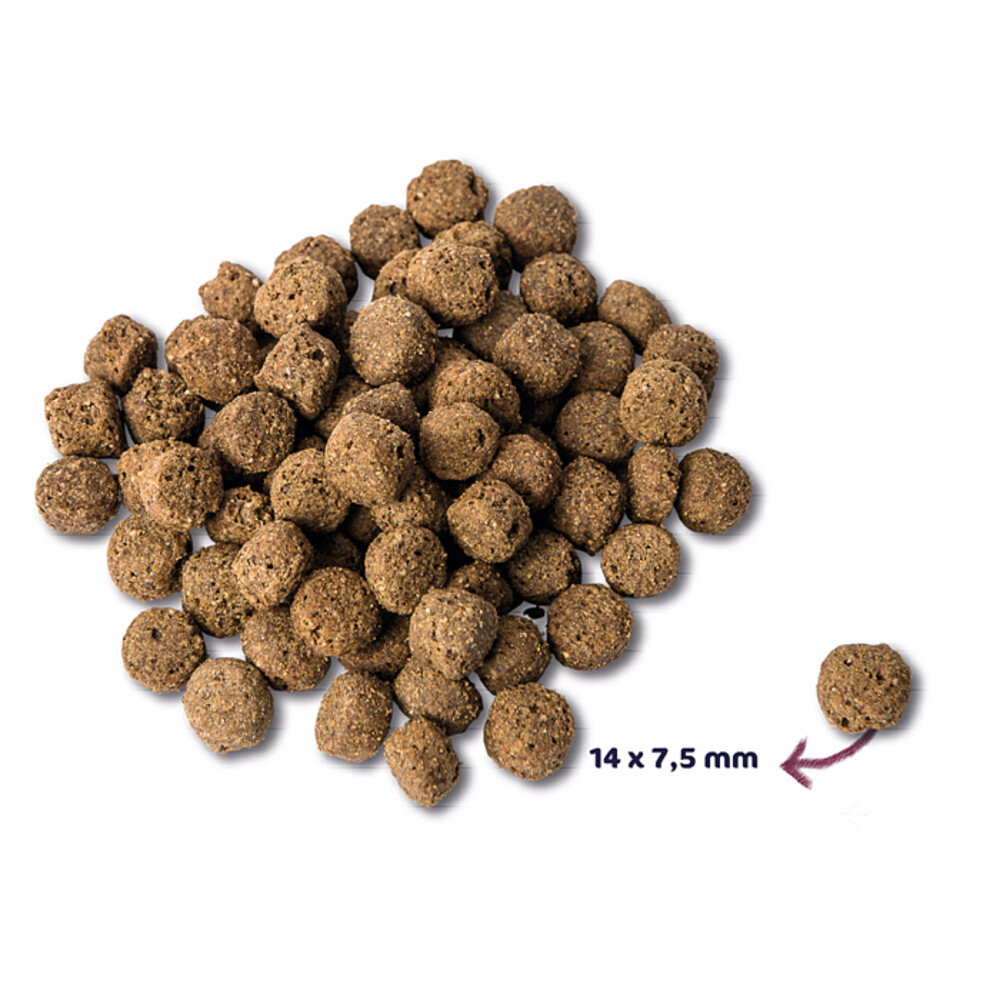 Renske Super Premium Adult Oceaanvis2 kg