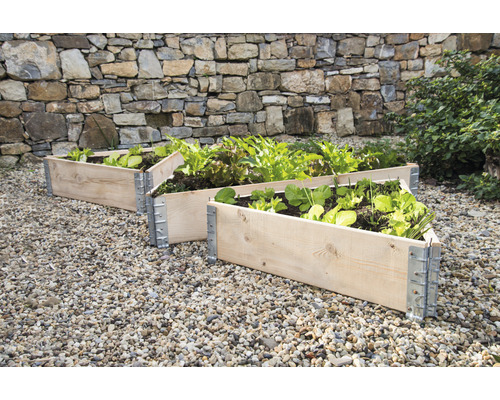 Modulair systeem voor verhoogde tuinbedden, palletframe wanddikte 20 mm 120x80x20 cm naturel
