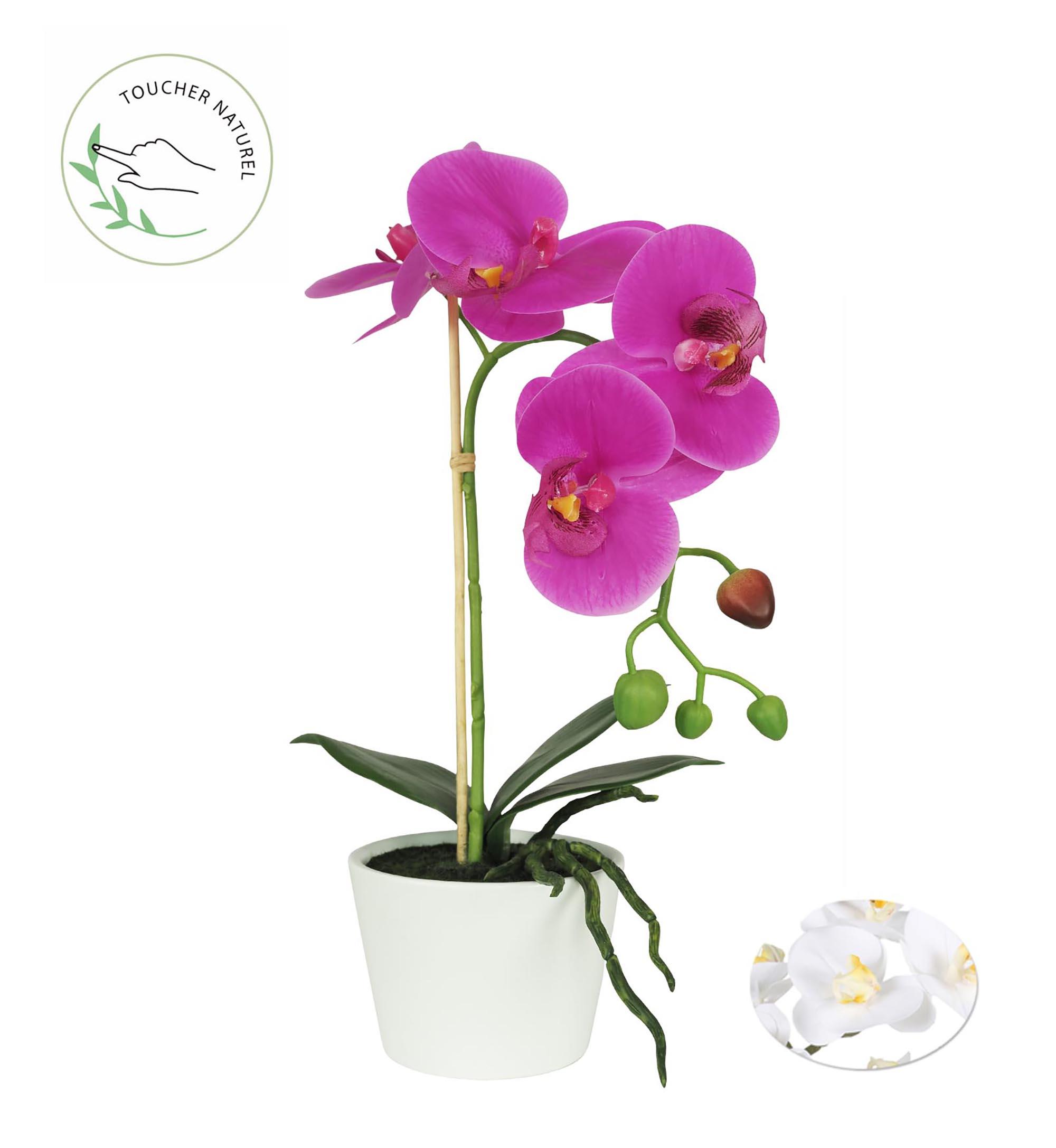 ORCHIDEE POT CERAMIQUE BLANC H.30CM