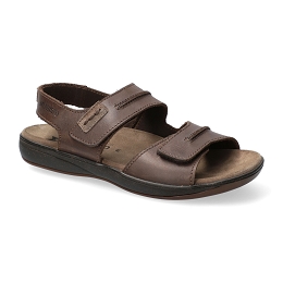sagun  SCRATCH 3451  DARK BROWN