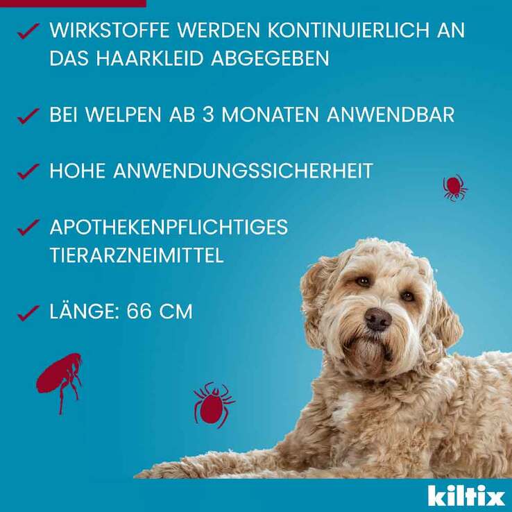 Kiltix für große Hunde Halsband, 1 St
