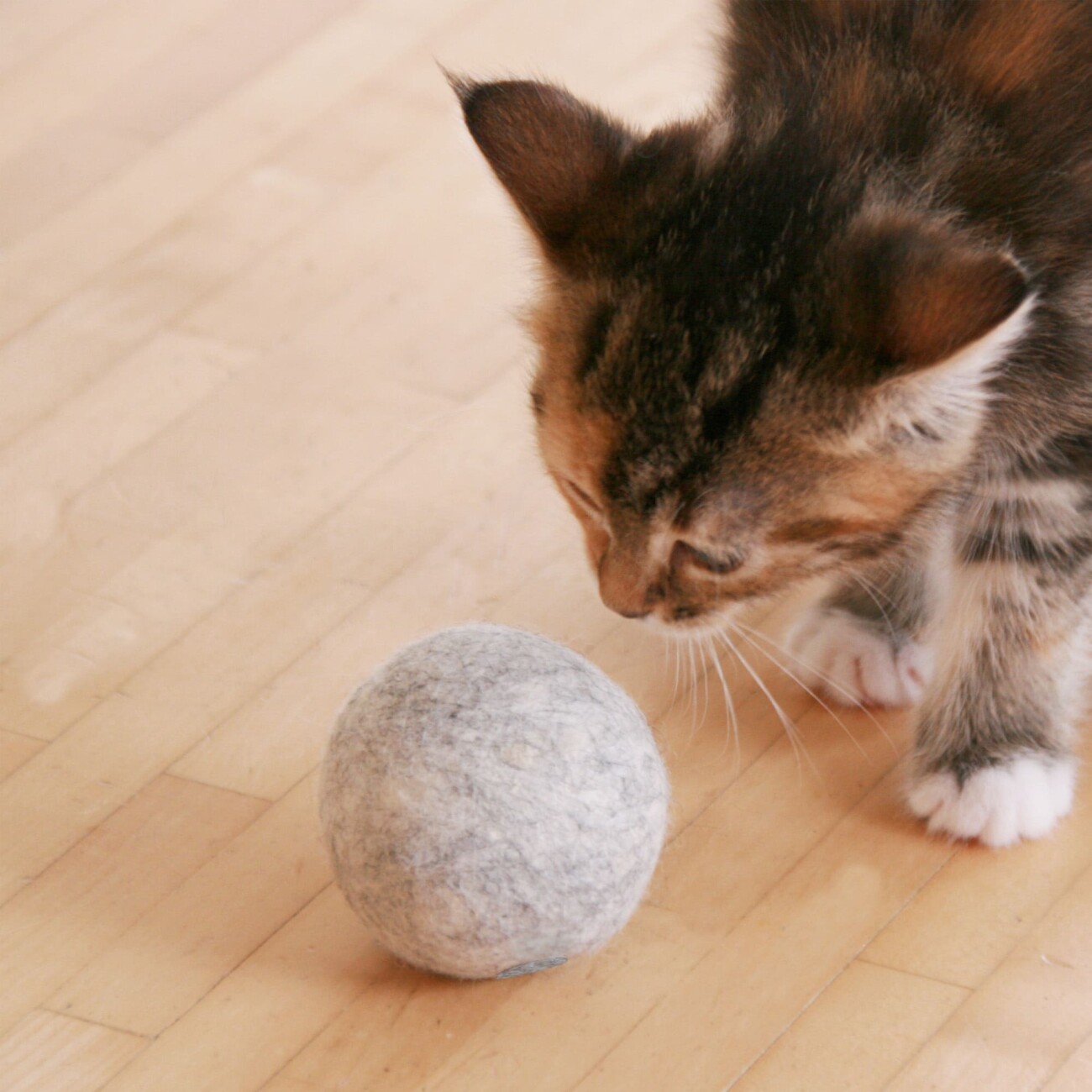 LucyBalu MINT BALL Filzball mit Katzenminze