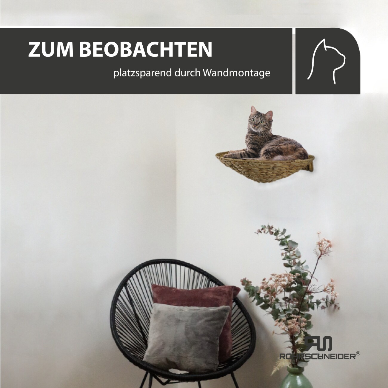 Rohrschneider ® runde Katzenmulde für Wandmontage, Kletterwand-Element mit Gratis-Spielballset