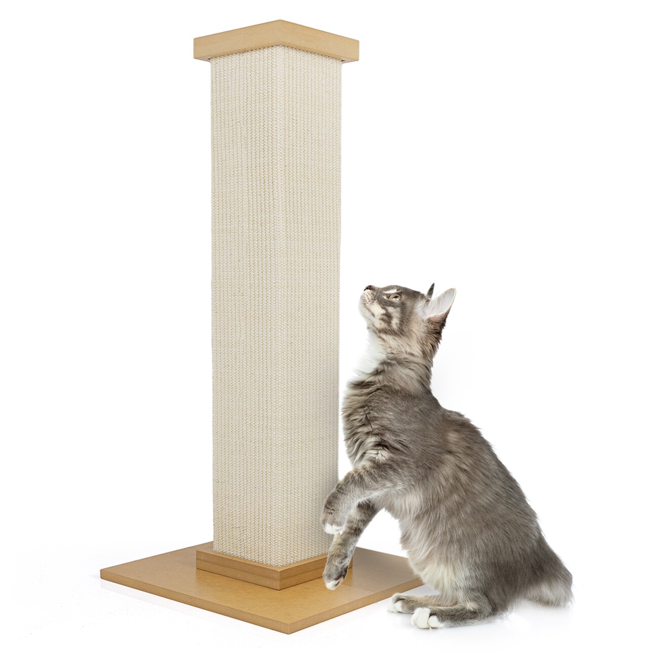 Canadian Cat Company Kratzsäule KENNY