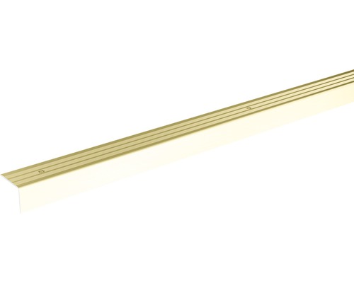SKANDOR traprandprofiel, champagne geanodiseerd, geperforeerd, 20x24,5x900 mm