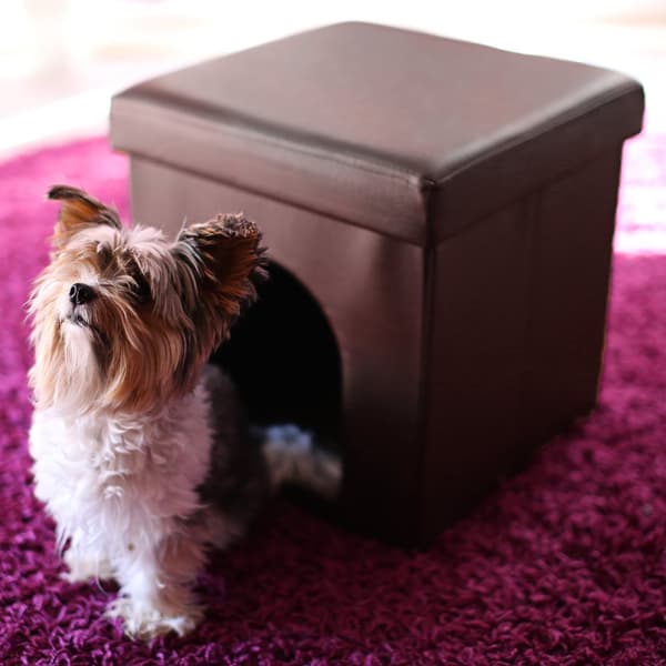 Krakk til hundebokser