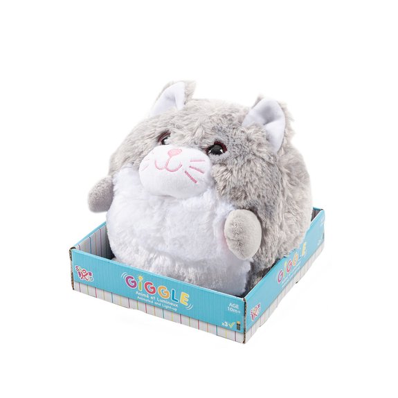 Chat rigolo