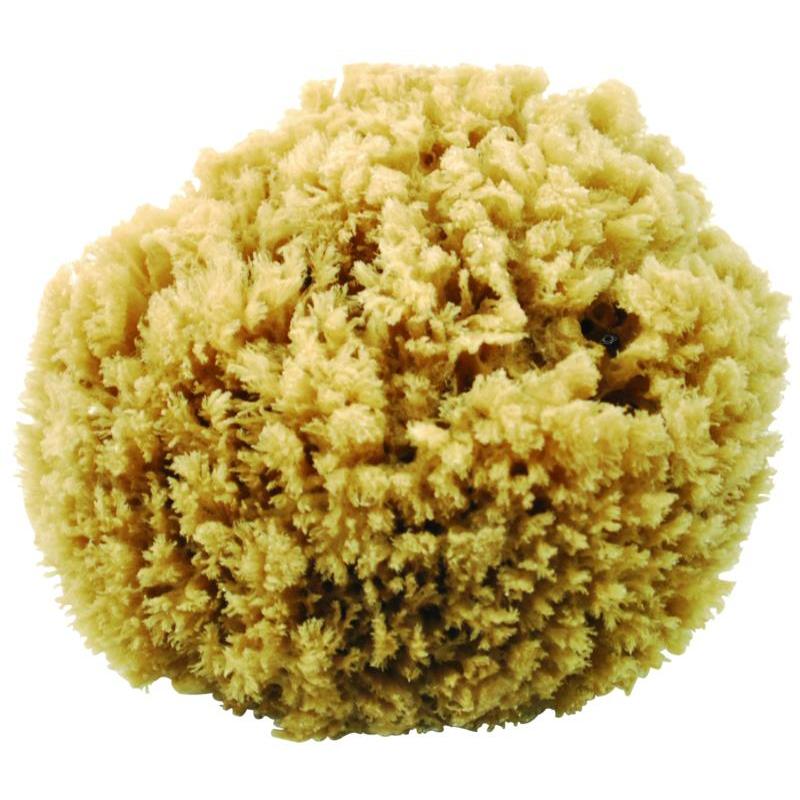 Eponge Naturelle De Mer Euromarine
