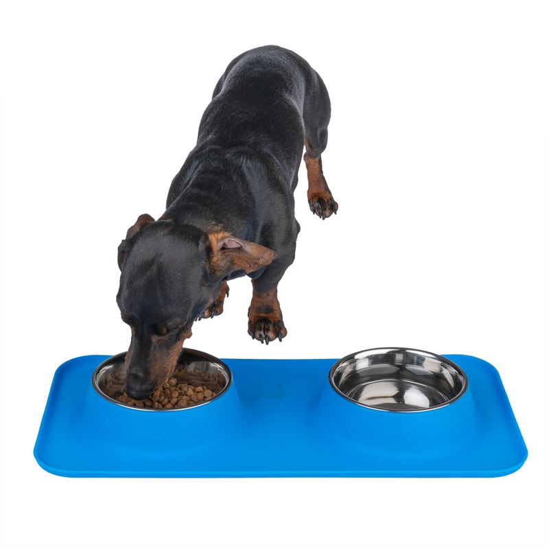 Gamelle double TIAKI avec tapis en silicone