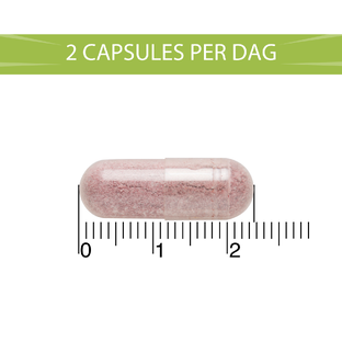 BlaseBerry Cranberry & D-Mannose & Hibiscus Capsules 50CP