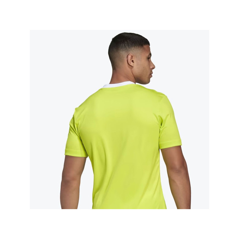 Tee-shirt sport Adidas Teamwear