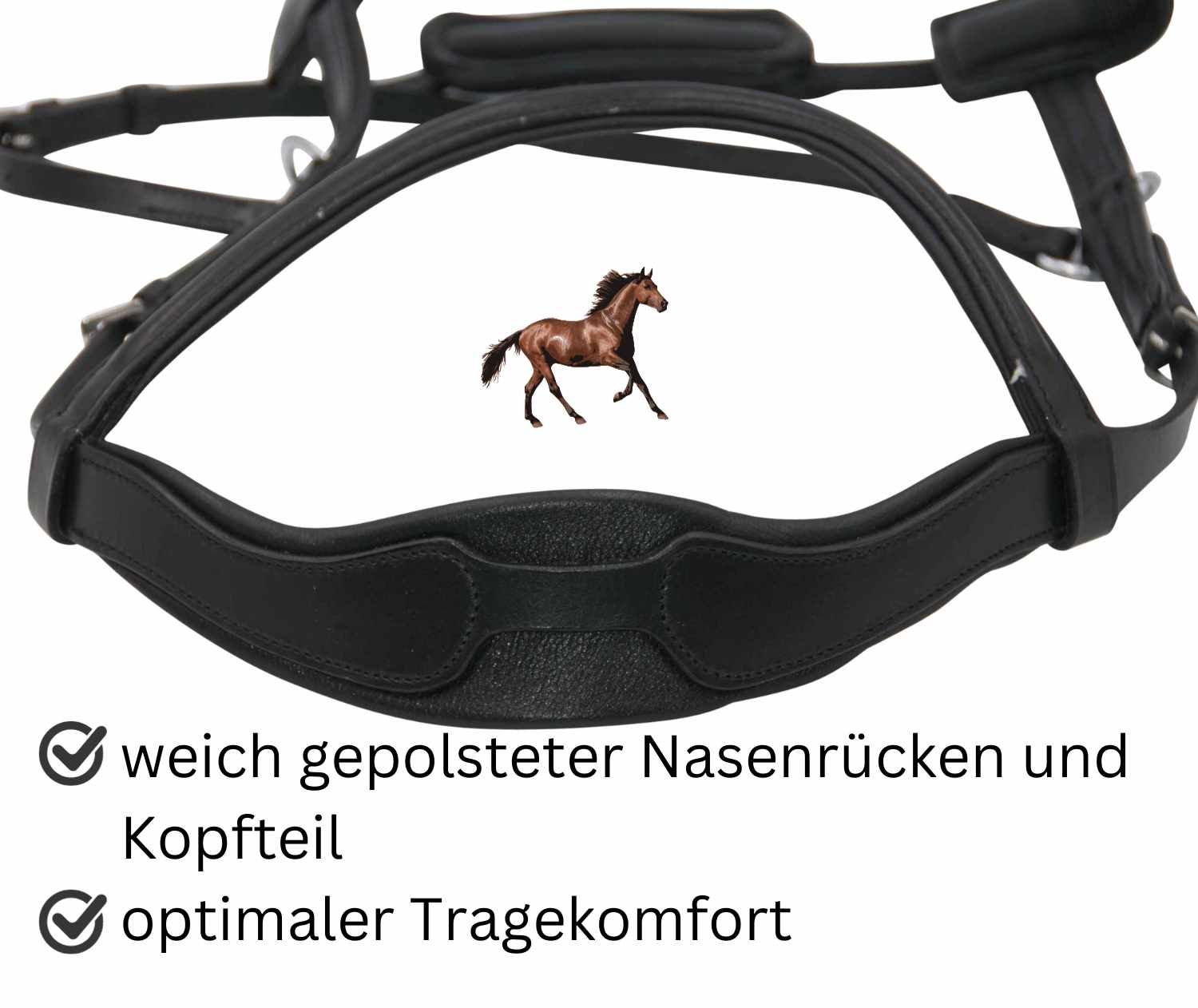 AMKA Reitkappzaum