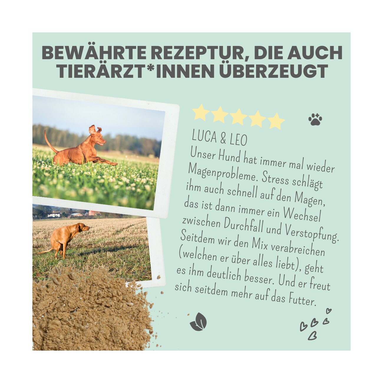 noms+ Verdauungsmix für Hunde als Probiotikum 150g