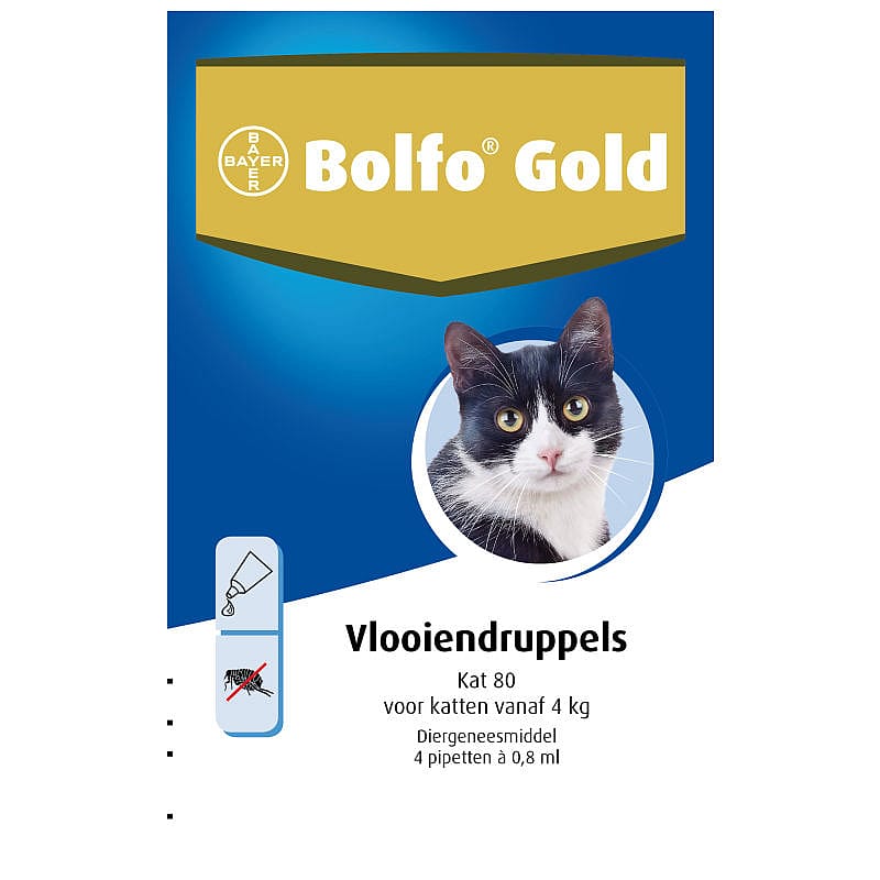 Bolfo Gold kat 40 tot 4 kg 2 pipetten