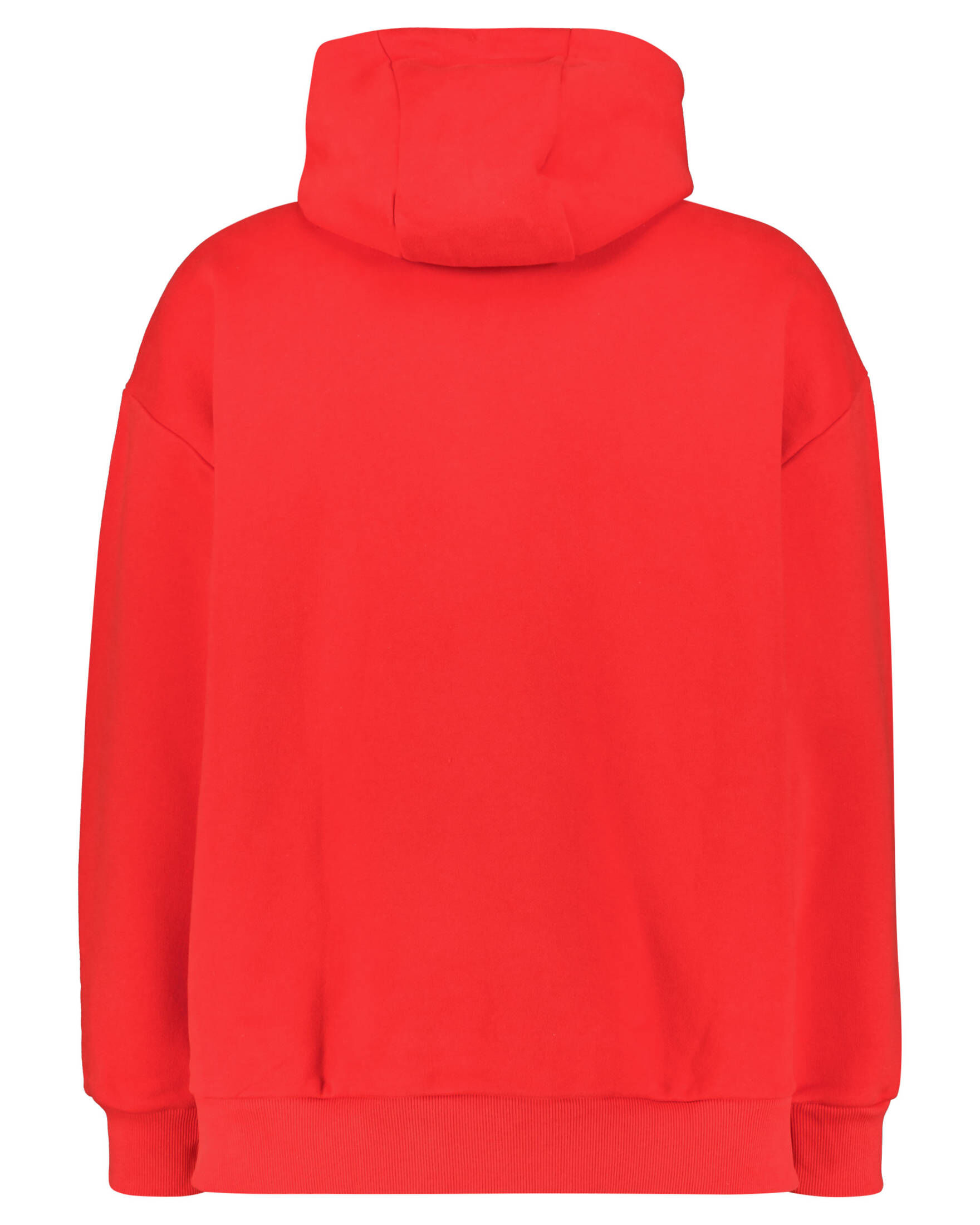 Tommy Jeans| Hoodie TJCU TERRY FLAG HOODIE